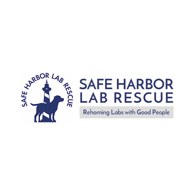 Logo for Safe Harbor Lab Rescue featuring a silhouette of a dog with a lighthouse on its back, circle text reading "Safe Harbor Lab Rescue," and tagline "Rehoming Labs with Good People" in blue and gray text.
