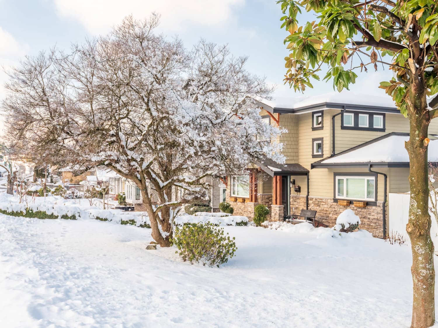 A modern house with beige siding and stone accents is surrounded by snow-covered trees and a snowy lawn on a bright winter day.