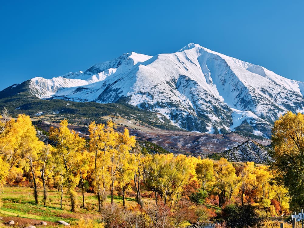 Snow-capped mountains rise behind a forest of trees with bright yellow and orange autumn foliage under a clear blue sky.