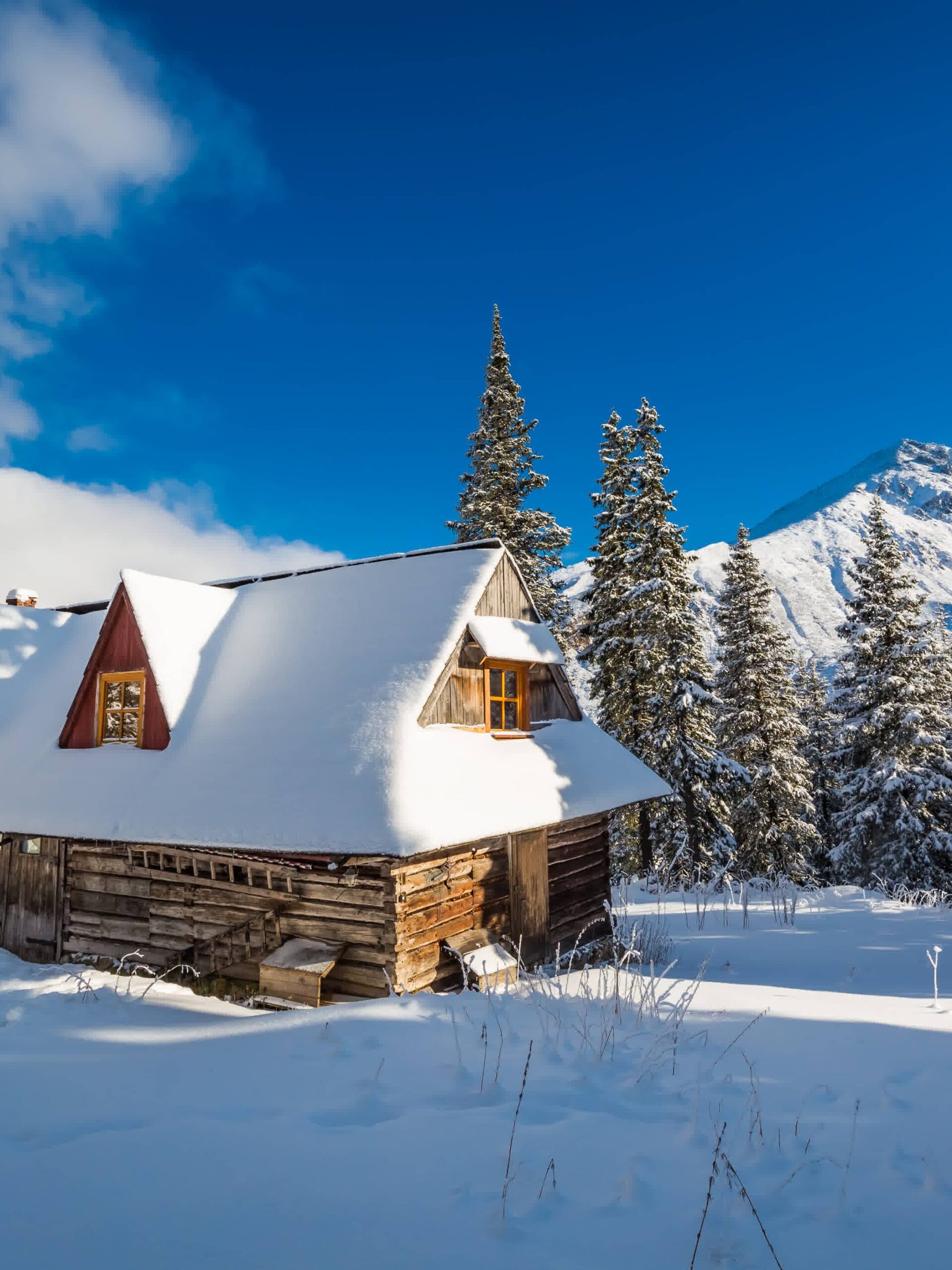 A rustic wooden cabin covered in snow sits among tall pine trees under a bright blue sky, with snow-capped mountains in the background.