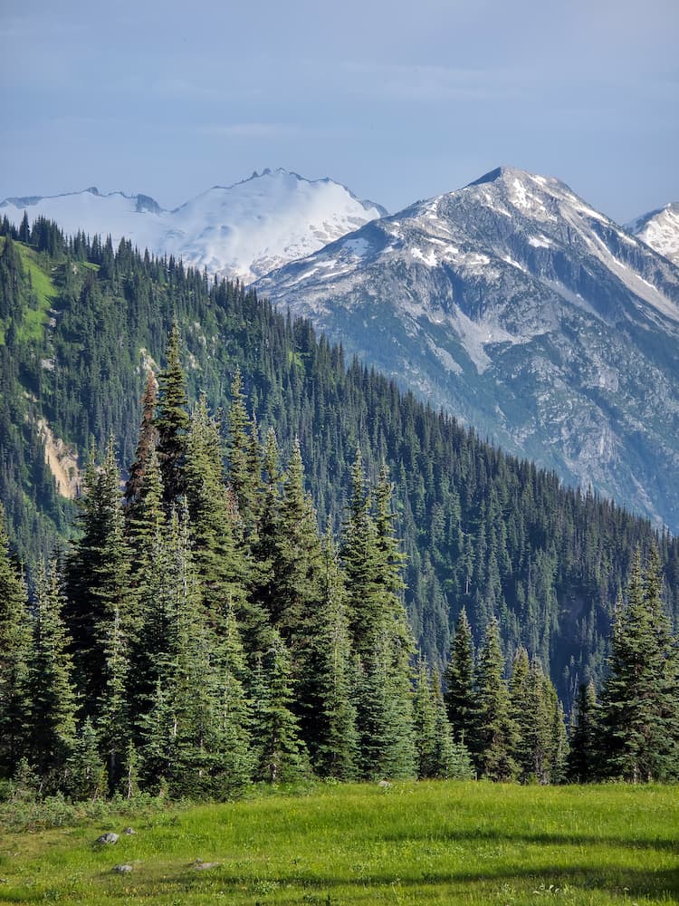 Snow-capped mountains rise behind dense pine forests, with a green meadow in the foreground under a clear blue sky.